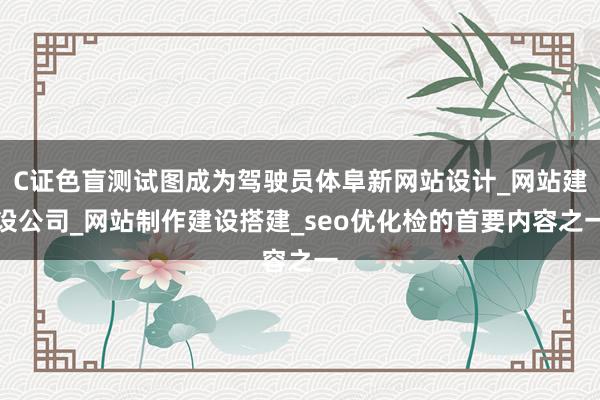 C证色盲测试图成为驾驶员体阜新网站设计_网站建设公司_网站制作建设搭建_seo优化检的首要内容之一