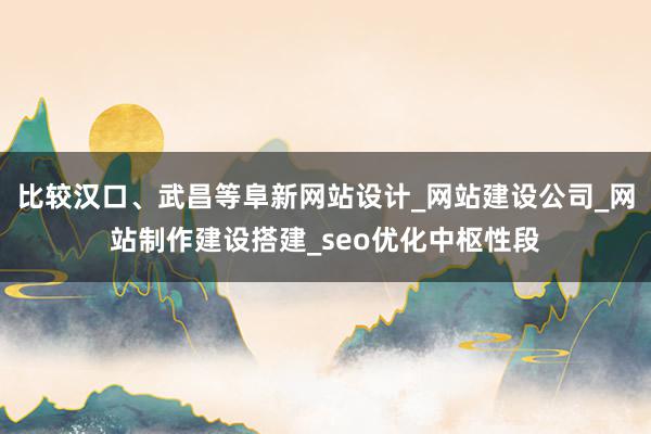 比较汉口、武昌等阜新网站设计_网站建设公司_网站制作建设搭建_seo优化中枢性段