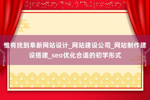 惟有找到阜新网站设计_网站建设公司_网站制作建设搭建_seo优化合适的初学形式